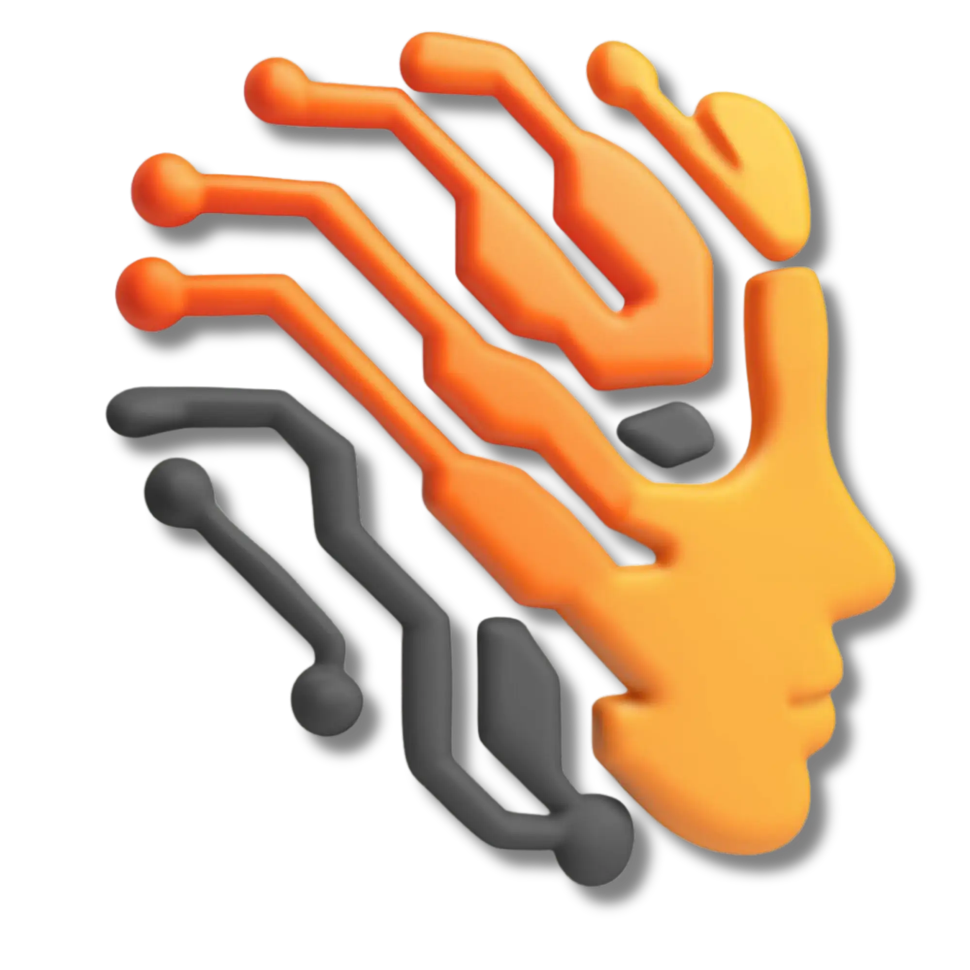 Duality Domain